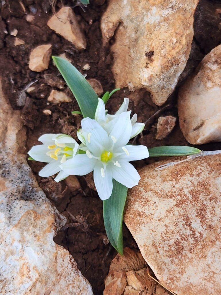 WhatsApp Image 2025-06-12 at 12.24.34 (1)