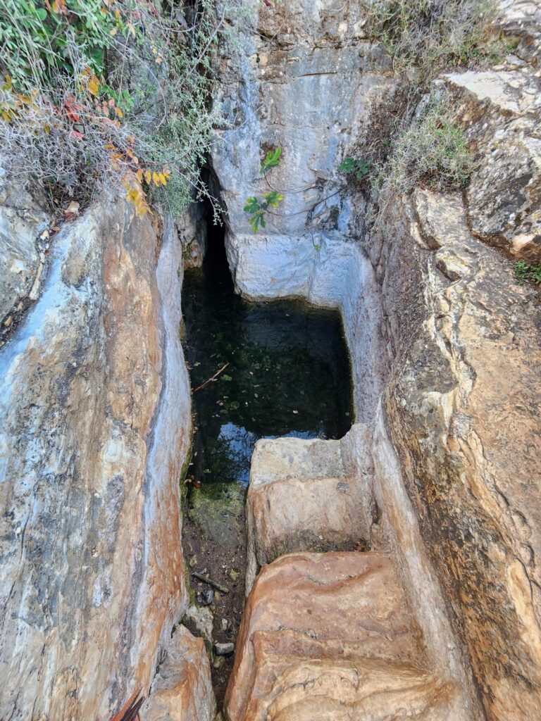 WhatsApp Image 2025-06-12 at 12.24.34 (4)