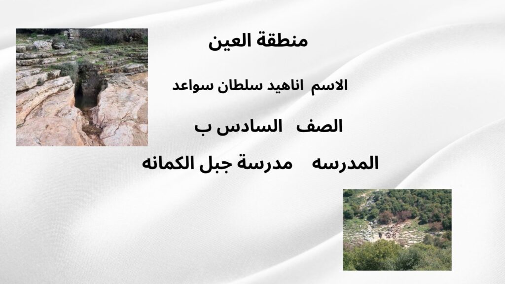 اناهيد سواعد