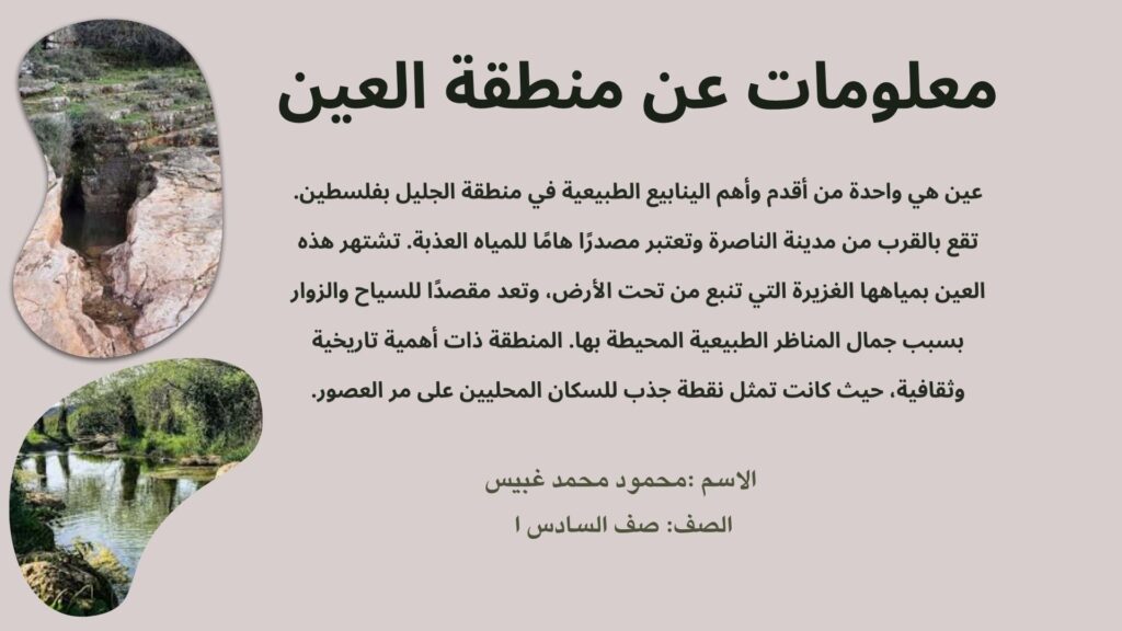 محمودمحمدغبيس